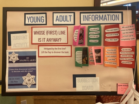 young adult information