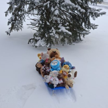 winter